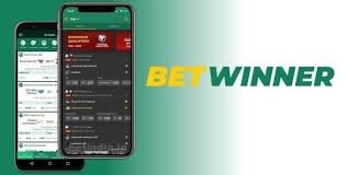 BetWinner vs BC.Game A Comprehensive Comparison 2045918501 BetWinner vs BC.Game A Comprehensive Comparison 2045918501