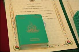 Understanding the Costs of Vanuatu Citizenship A Comprehensive Guide 897816752 Understanding the Costs of Vanuatu Citizenship A Comprehensive Guide 897816752